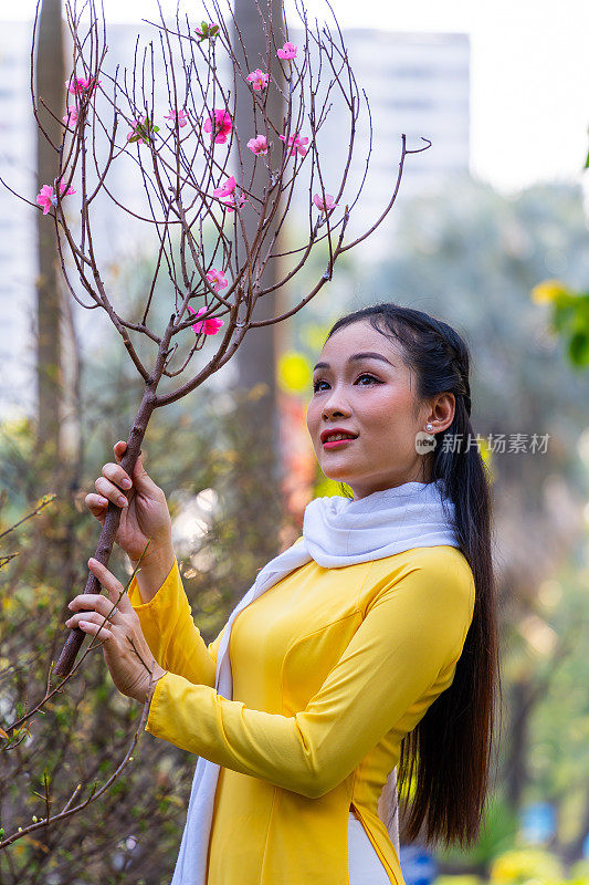 越南女孩穿着传统的ao dai服装，手持花枝在越南享受新年。春节和新年。